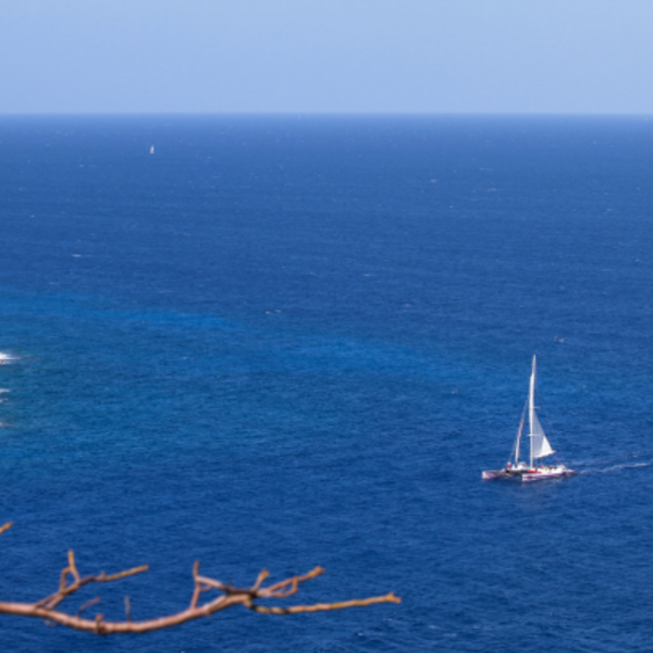 Journée en catamaran à Cap Taillat Départ Cavalaire