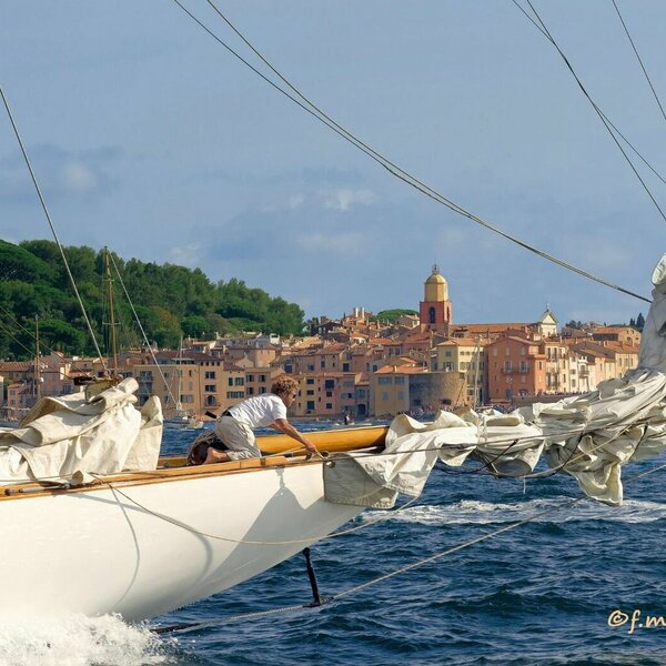 Les Voiles de Saint-Tropez